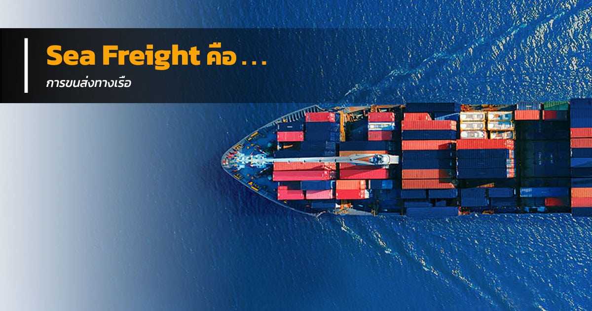 Sea Freight คือ